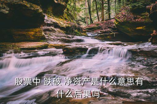  股票中 跌破 凈資產(chǎn)是什么意思有什么后果嗎