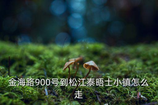 金海路900號(hào)到松江泰晤士小鎮(zhèn)怎么走