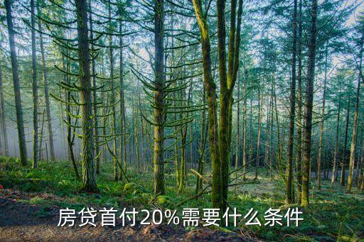 房貸首付20%需要什么條件