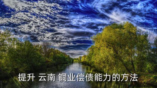 提升 云南 銅業(yè)償債能力的方法