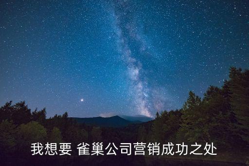 我想要 雀巢公司營(yíng)銷成功之處