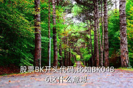  股票BK開(kāi)頭代碼,比如BK0486這什么意思