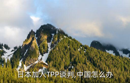 tpp貿(mào)易保護(hù)排除中國