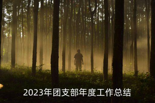 2023年團(tuán)支部年度工作總結(jié)