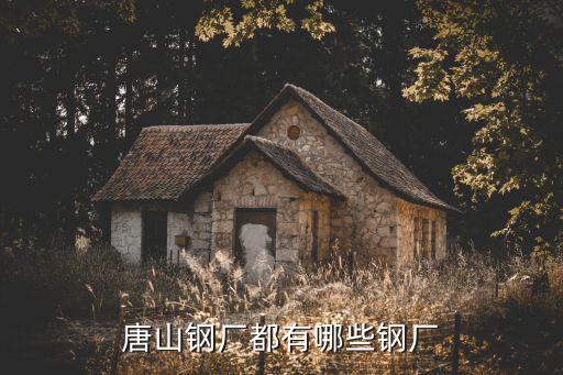 唐山鋼廠都有哪些鋼廠