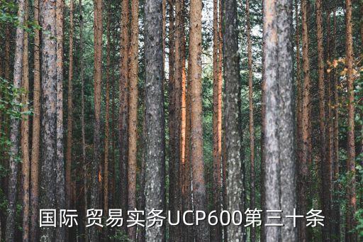 國(guó)際 貿(mào)易實(shí)務(wù)UCP600第三十條