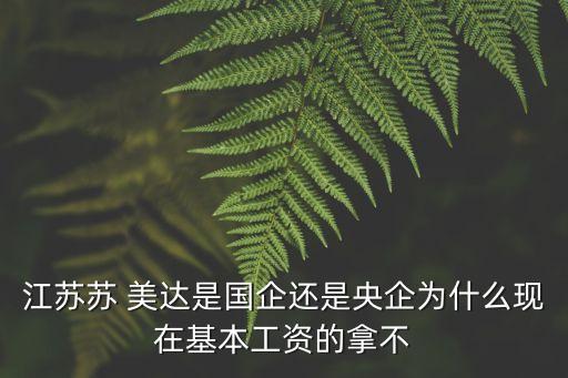 江蘇蘇 美達(dá)是國企還是央企為什么現(xiàn)在基本工資的拿不