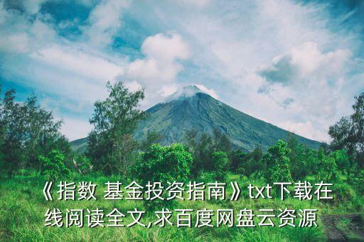 《指數 基金投資指南》txt下載在線閱讀全文,求百度網盤云資源