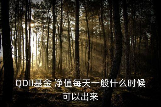 QDII基金 凈值每天一般什么時(shí)候可以出來