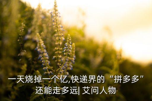 一天燒掉一個(gè)億,快遞界的“拼多多”還能走多遠(yuǎn)| 艾問人物