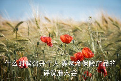 什么時(shí)候召開(kāi)個(gè)人 養(yǎng)老金保險(xiǎn)產(chǎn)品的評(píng)議準(zhǔn)入會(huì)