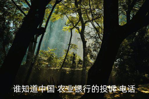 誰知道中國 農(nóng)業(yè)銀行的投訴 電話