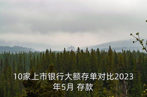 10家上市銀行大額存單對比2023年5月 存款