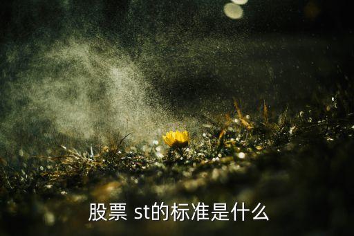  股票 st的標(biāo)準(zhǔn)是什么