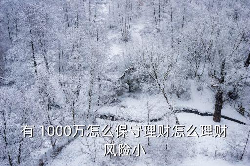 有 1000萬怎么保守理財怎么理財風險小