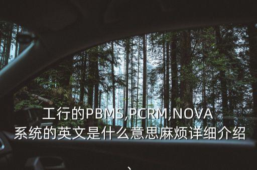 工行的PBMS,PCRM,NOVA 系統(tǒng)的英文是什么意思麻煩詳細(xì)介紹、