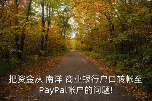 把資金從 南洋 商業(yè)銀行戶口轉(zhuǎn)帳至PayPal帳戶的問(wèn)題!