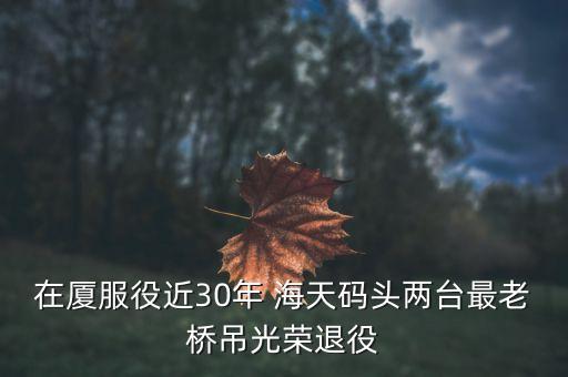 在廈服役近30年 海天碼頭兩臺(tái)最老橋吊光榮退役