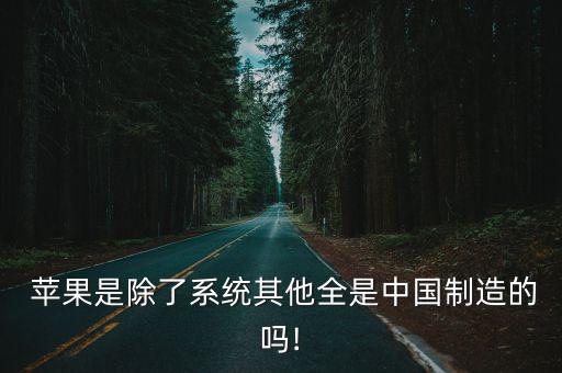  蘋果是除了系統(tǒng)其他全是中國制造的嗎!