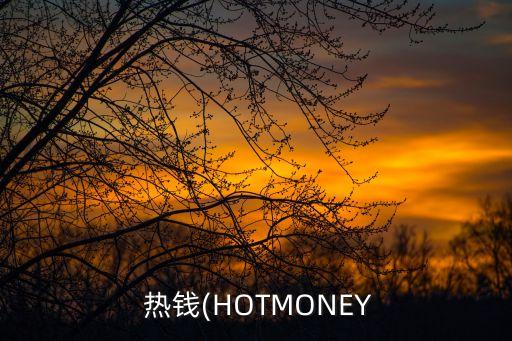  熱錢(qián)(HOTMONEY