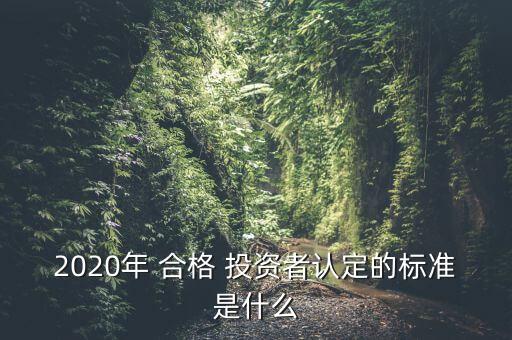 2020年 合格 投資者認定的標準是什么