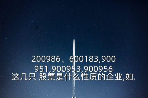 200986、600183,900951,900953,900956這幾只 股票是什么性質(zhì)的企業(yè),如...