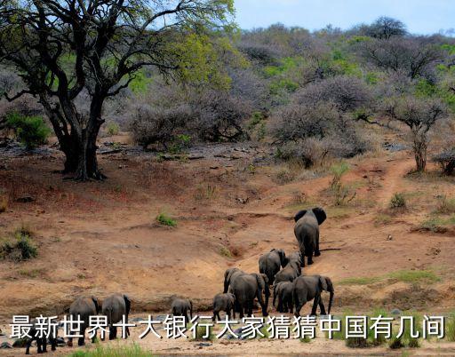 合肥富國集團(tuán),富國集團(tuán)有限公司