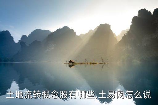 土地流轉(zhuǎn)概念股有哪些,土易網(wǎng)怎么說