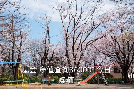  基金 凈值查詢360001今日 凈值