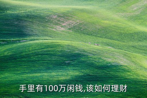 手里有100萬(wàn)閑錢,該如何理財(cái)