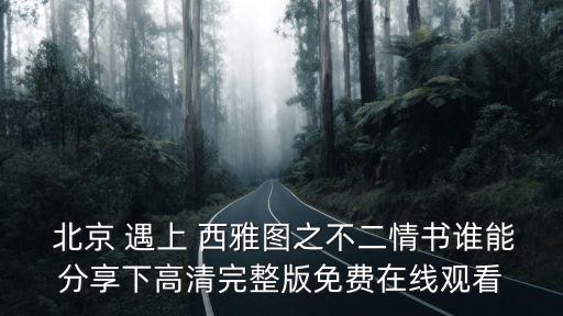  北京 遇上 西雅圖之不二情書誰能分享下高清完整版免費(fèi)在線觀看