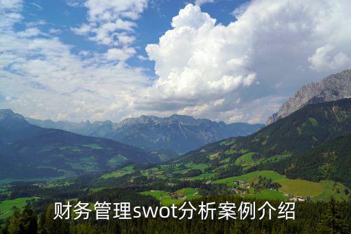 財(cái)務(wù)管理swot分析案例介紹