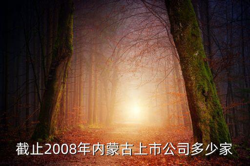 截止2008年內(nèi)蒙古上市公司多少家