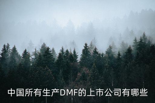 中國(guó)所有生產(chǎn)DMF的上市公司有哪些