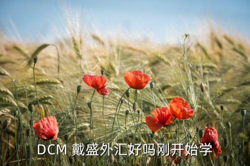 DCM 戴盛外匯好嗎剛開始學