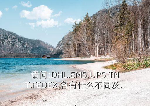 請(qǐng)問:DHL.EMS.UPS.TNT.FEDEX.各有什么不同及...