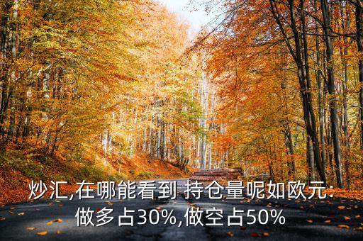 炒匯,在哪能看到 持倉量呢如歐元:做多占30%,做空占50%