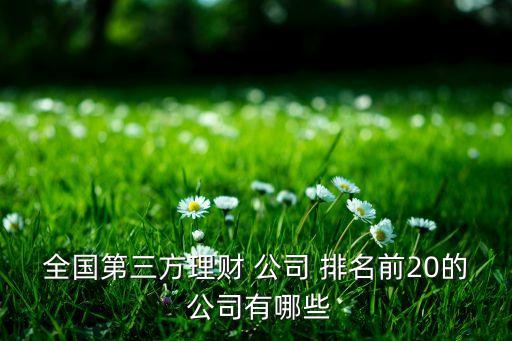 全國第三方理財(cái) 公司 排名前20的 公司有哪些