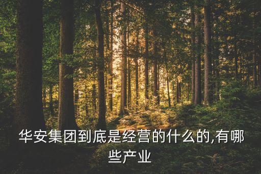  華安集團(tuán)到底是經(jīng)營的什么的,有哪些產(chǎn)業(yè)