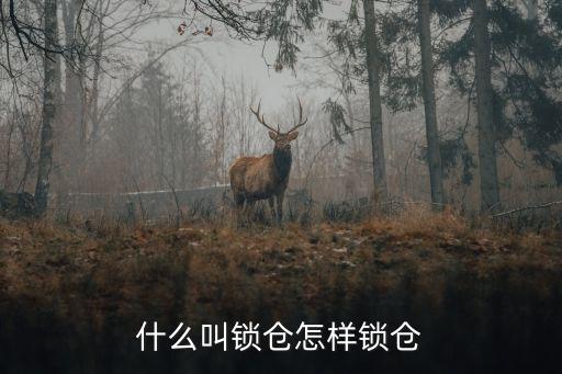 股票中的鎖倉(cāng)是什么意思