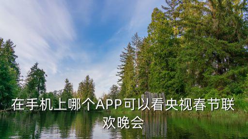 在手機(jī)上哪個APP可以看央視春節(jié)聯(lián)歡晚會