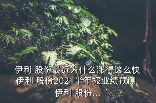  伊利 股份最近為什么漲得這么快 伊利 股份2021半年報(bào)業(yè)績(jī)預(yù)測(cè) 伊利 股份...