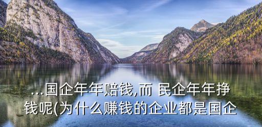 ...國企年年賠錢,而 民企年年掙錢呢(為什么賺錢的企業(yè)都是國企