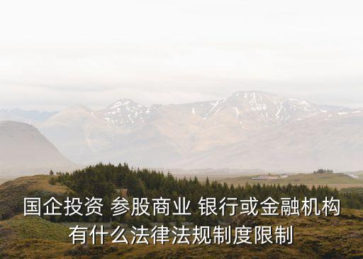 國企投資 參股商業(yè) 銀行或金融機(jī)構(gòu)有什么法律法規(guī)制度限制