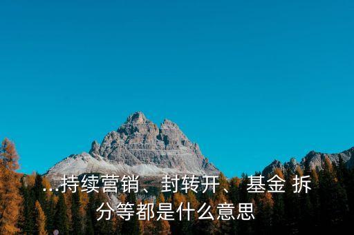 ...持續(xù)營(yíng)銷(xiāo)、封轉(zhuǎn)開(kāi)、 基金 拆分等都是什么意思