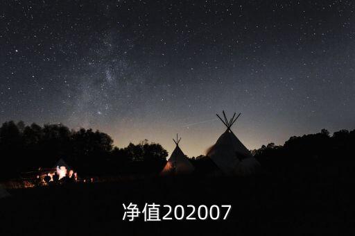 基金凈值202007