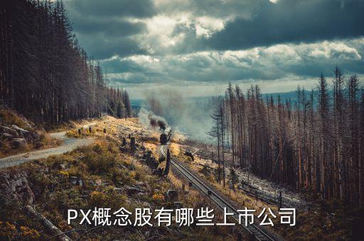 PX概念股有哪些上市公司