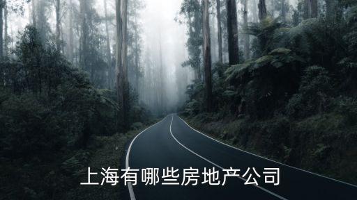  上海有哪些房地產(chǎn)公司