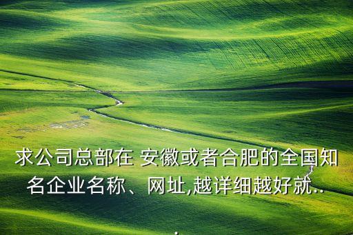 求公司總部在 安徽或者合肥的全國知名企業(yè)名稱、網(wǎng)址,越詳細越好就...