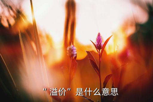 “ 溢價(jià)”是什么意思